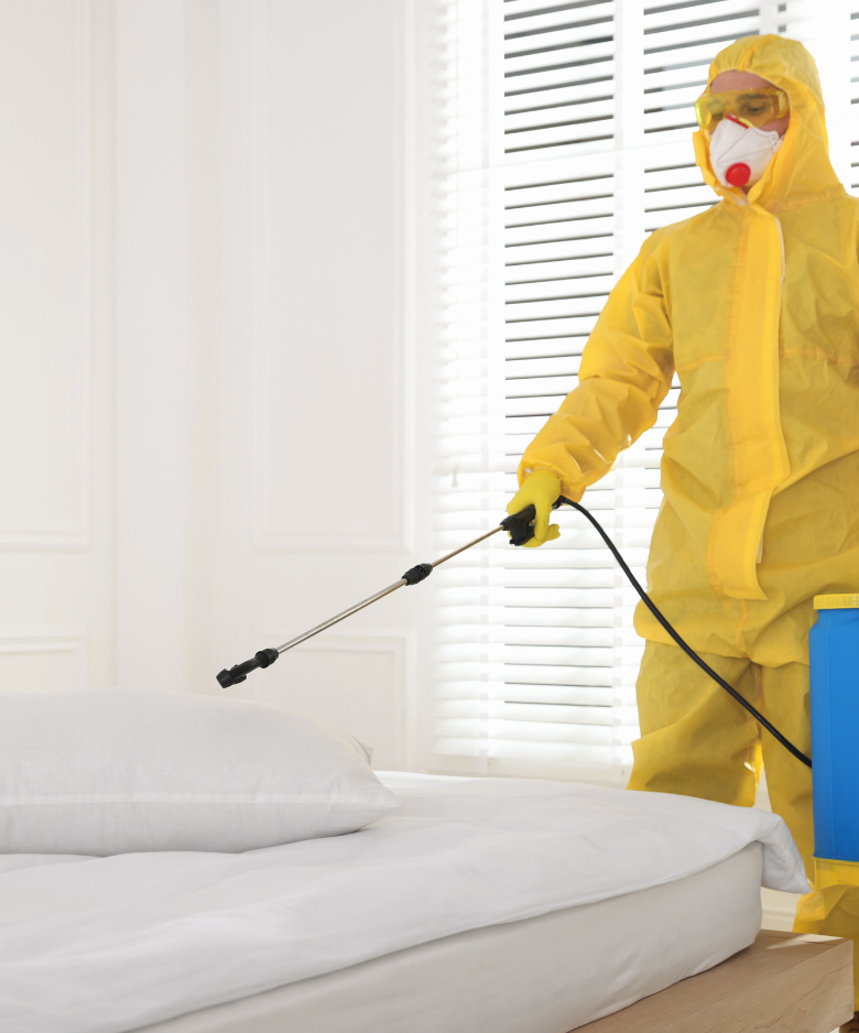 Professional Pest Control Team in Birkenhead